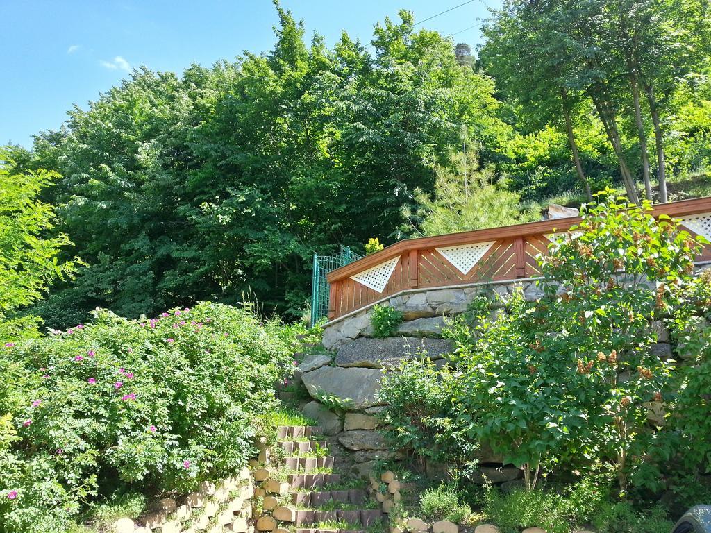 Gastehaus Zur Schonen Aussicht Bed and Breakfast Spitz an der Donau Εξωτερικό φωτογραφία