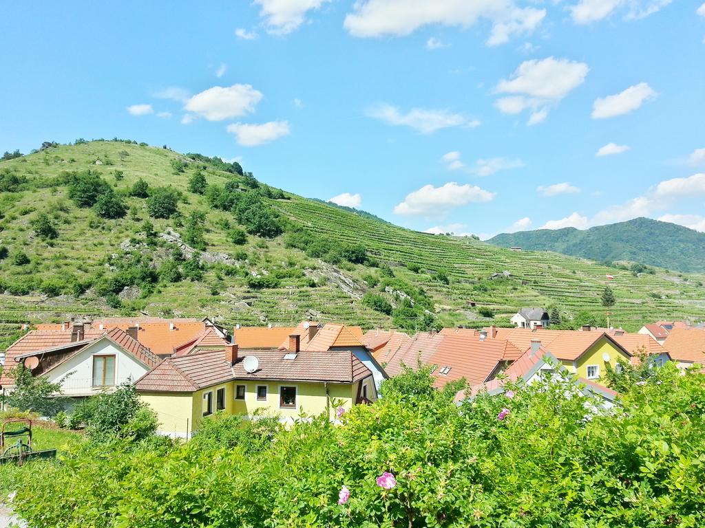 Gastehaus Zur Schonen Aussicht Bed and Breakfast Spitz an der Donau Εξωτερικό φωτογραφία