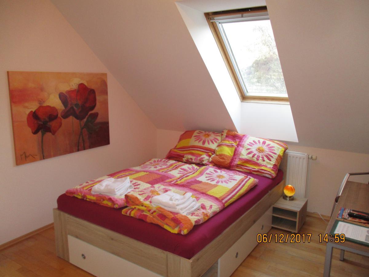 Gastehaus Zur Schonen Aussicht Bed and Breakfast Spitz an der Donau Εξωτερικό φωτογραφία